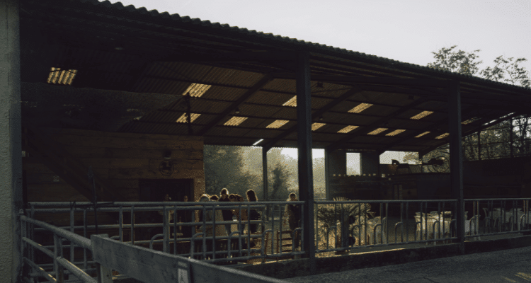 Est-il possible de réaliser une formation equicoaching en ligne ?