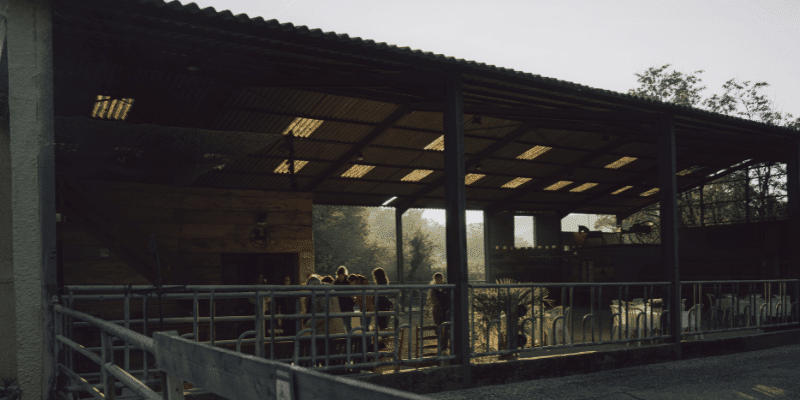 Est-il possible de réaliser une formation equicoaching en ligne ?